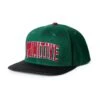Primitive Collegiate Arch Snapback Cap - Green